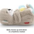 Fisher-Price Bedtime Otter Soother